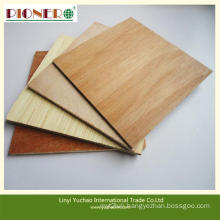 Two Molding Furniture Grade Commercial Plywood with Bintangor Face